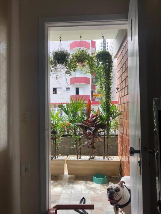 Apartamento A 230 Mts Da Praia Em Ubatuba Buitenkant foto